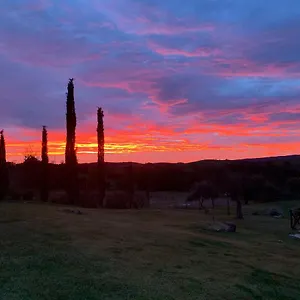  Farm stay Bio Agriturismo La Bell'antiglia